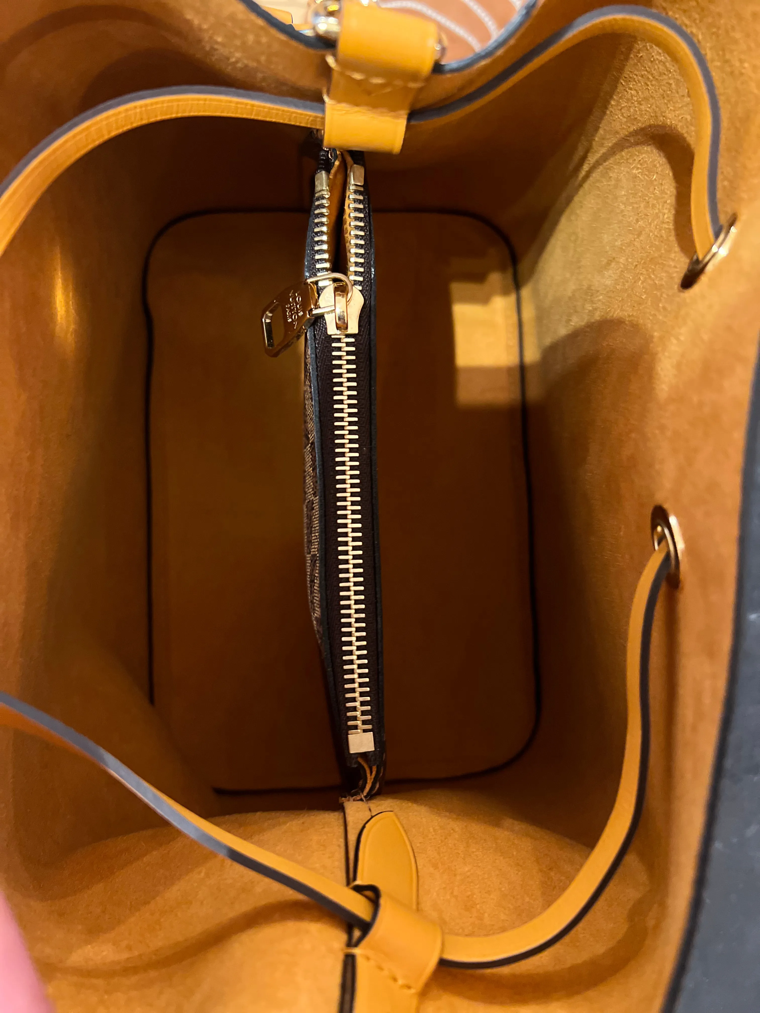 Louis Vuitton Damier Ebene Neo Noe Bucket Bag