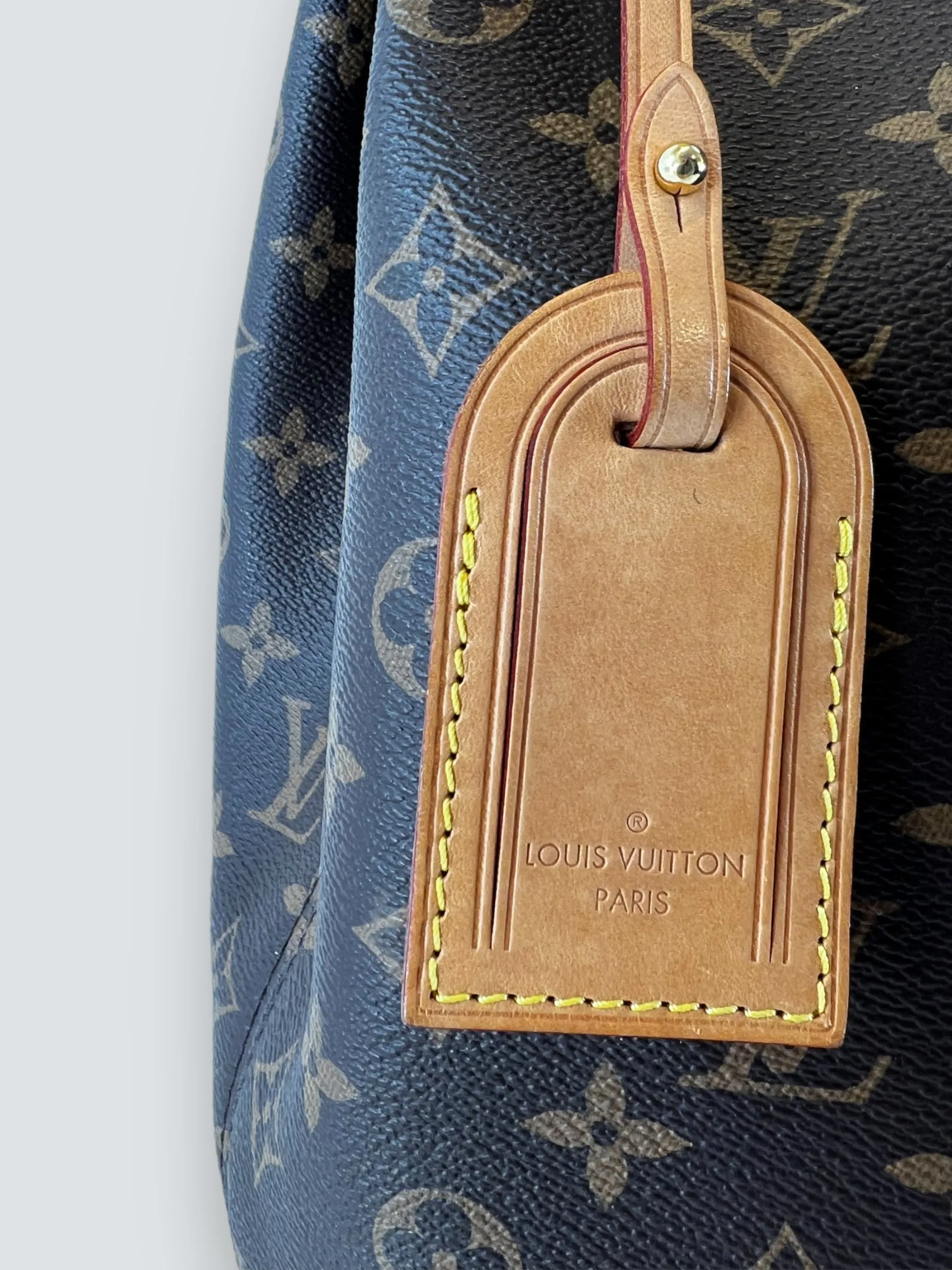 Louis Vuitton Monogram Canvas Graceful Hobo