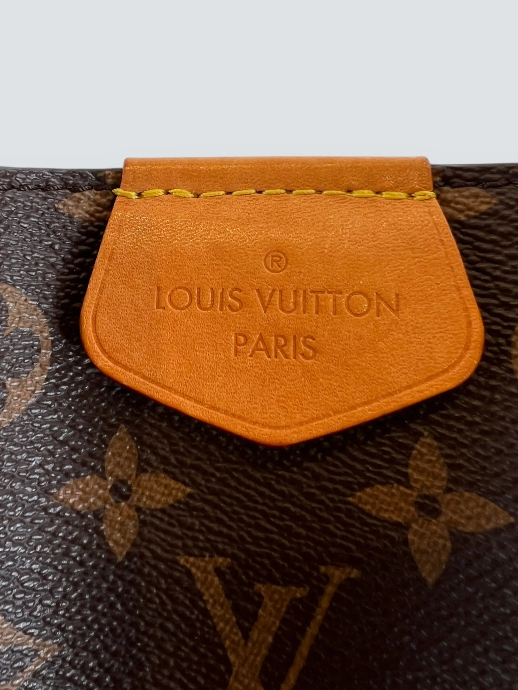 Louis Vuitton Monogram Canvas Graceful Hobo
