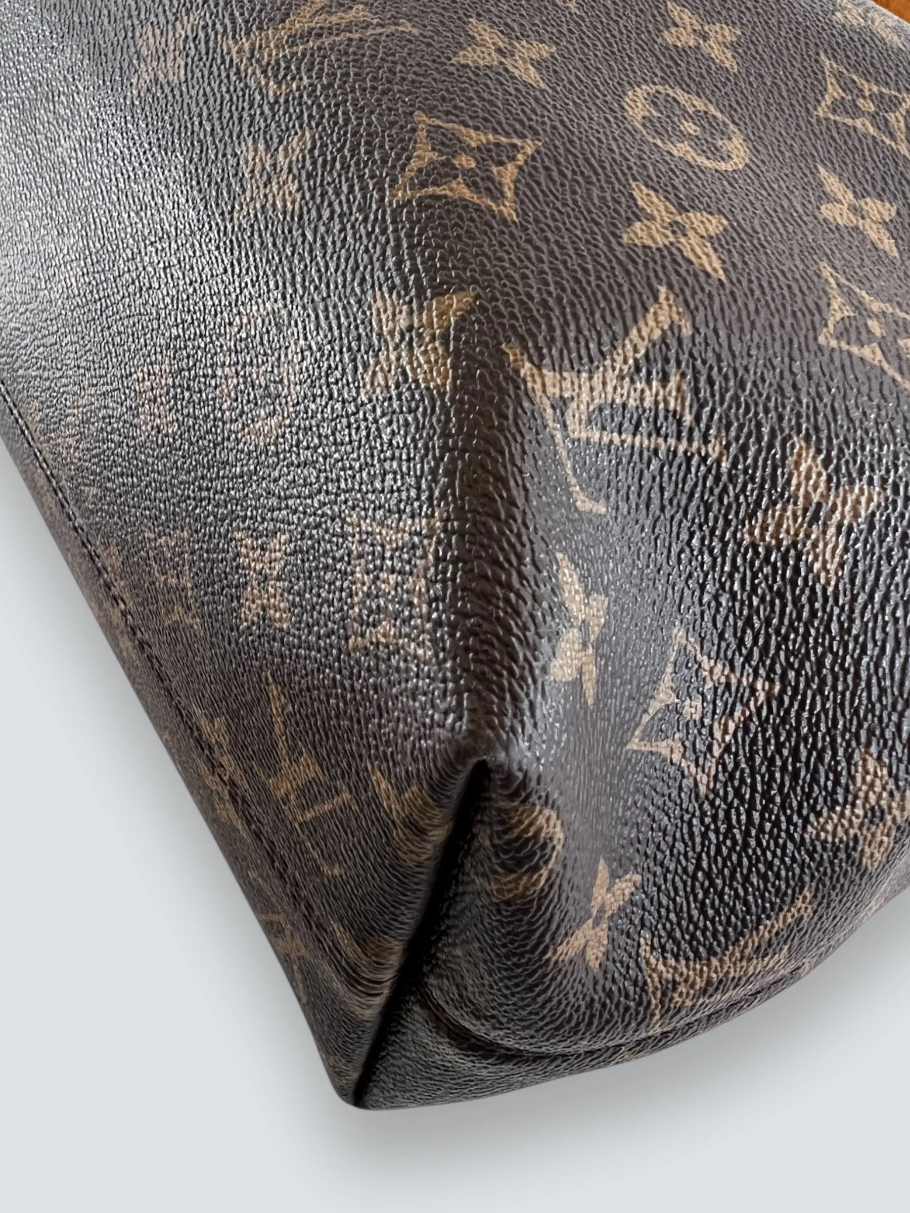 Louis Vuitton Monogram Canvas Graceful Hobo