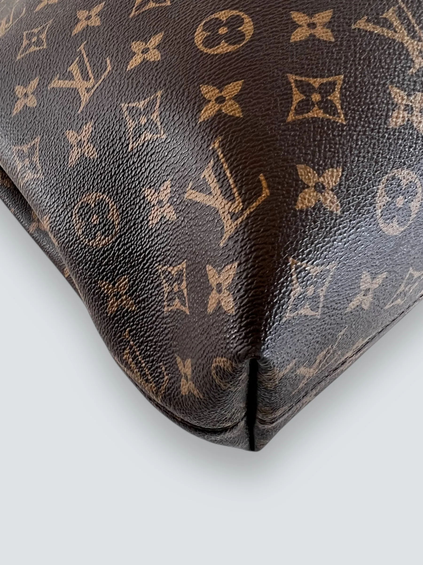 Louis Vuitton Monogram Canvas Graceful Hobo