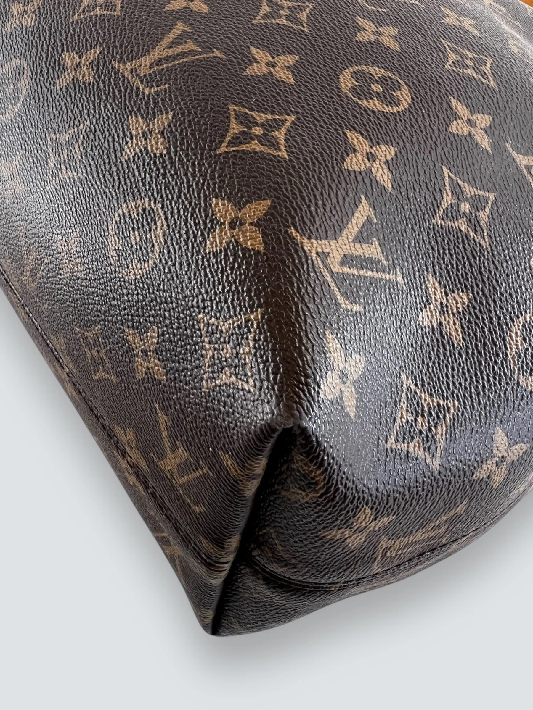 Louis Vuitton Monogram Canvas Graceful Hobo
