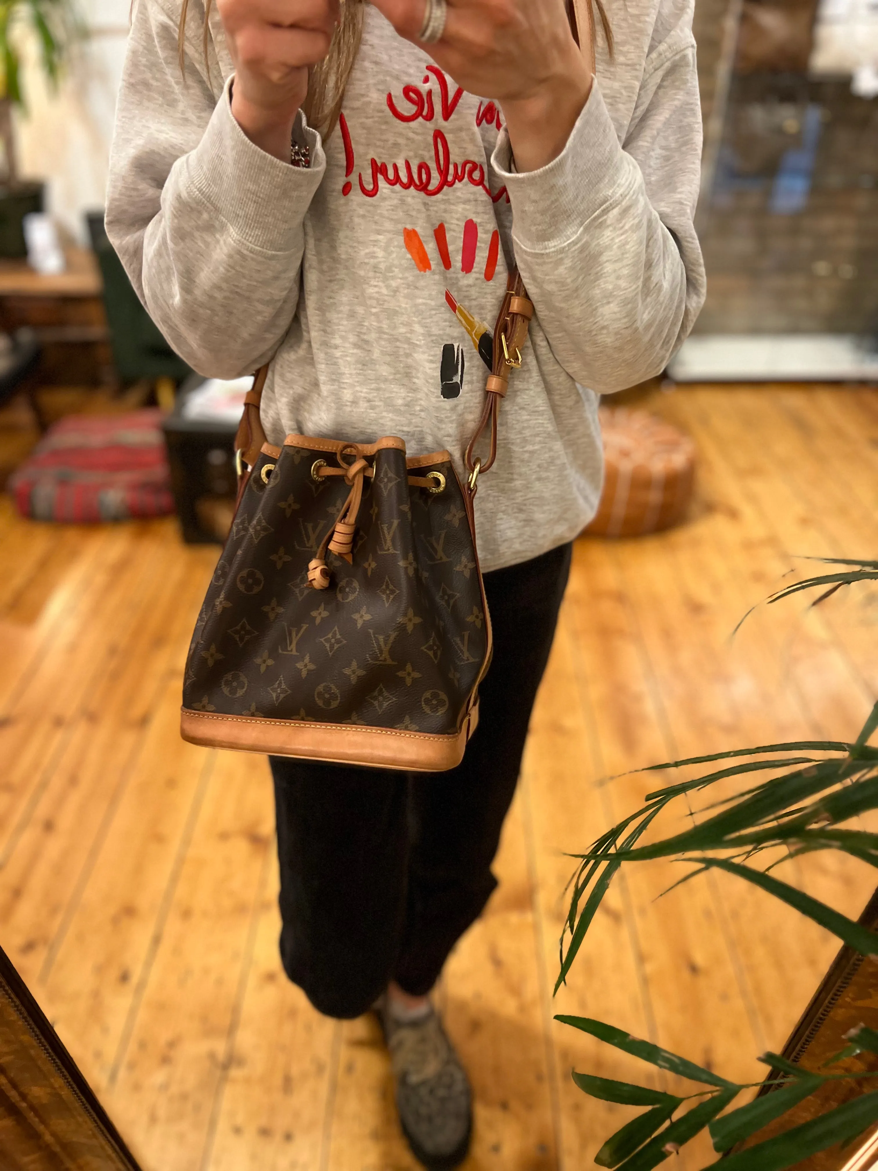 Louis Vuitton Monogram Canvas Noe BB Bucket Bag
